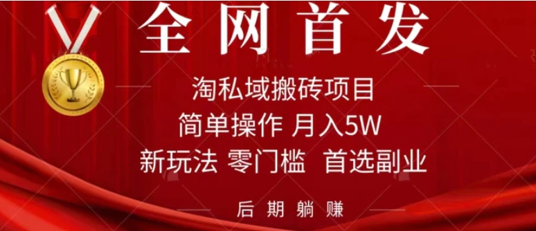 淘私域搬砖项目，利用信息差月入5W，每天无脑操作1小时，后期躺赚-大磊资源网