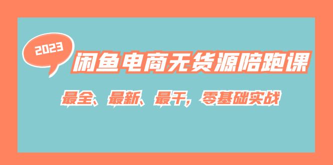 闲鱼电商无货源陪跑课，最全、最新、最干，零基础实战-大磊资源网