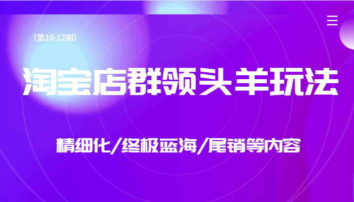 淘宝店群领头羊玩法，精细化/终极蓝海/尾销等内容-大磊资源网