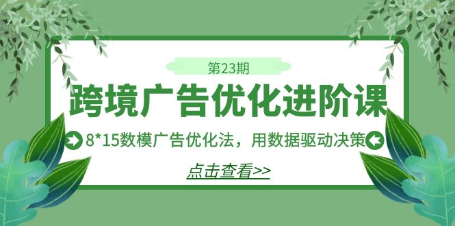 跨境广告·优化进阶课·第23期，8*15数模广告优化法，用数据驱动决策-大磊资源网