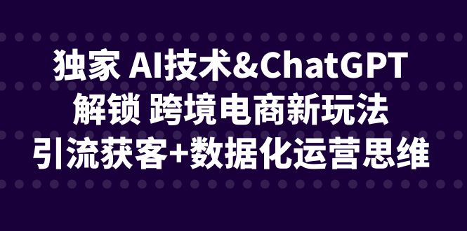 独家 AI技术&ChatGPT解锁 跨境电商新玩法，引流获客+数据化运营思维-大磊资源网