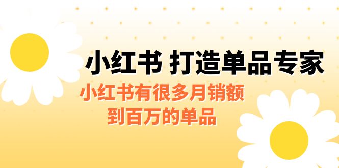 某公众号付费文章《小红书 打造单品专家》小红书有很多月销额到百万的单品-大磊资源网