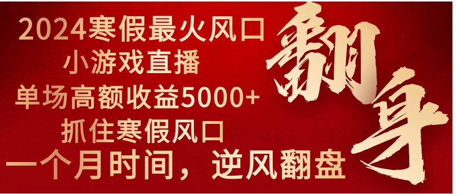 2024年最火寒假风口项目 小游戏直播 单场收益5000+抓住风口 一个月直接提车-大磊资源网