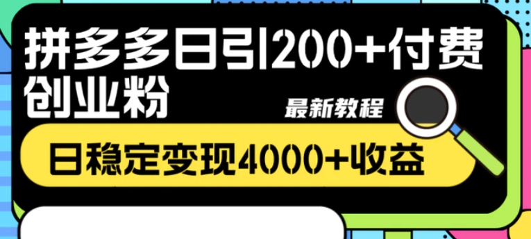 拼多多日引200+付费创业粉，日稳定变现4000+收益最新教程-大磊资源网