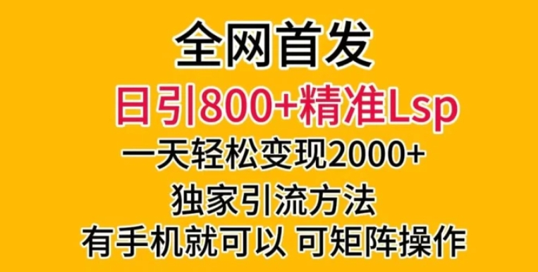 全网首发！日引800+精准老色批，一天变现2000+，独家引流方法，可矩阵操作【揭秘】-大磊资源网
