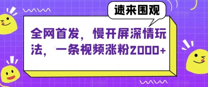 全网首发，慢开屏深情玩法，一条视频涨粉2000+【揭秘】-大磊资源网