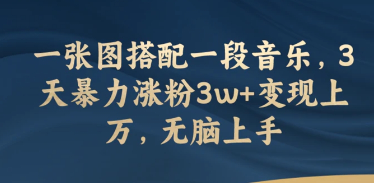 一张图搭配一段音乐，3天暴力涨粉3w+变现上万，无脑上手-大磊资源网