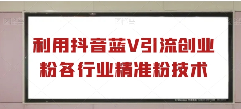 利用抖音蓝V引流创业粉各行业精准粉技术-大磊资源网