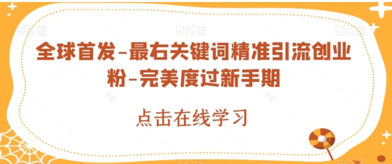 全球首发-最右关键词精准引流创业粉-完美度过新手期【揭秘】-大磊资源网