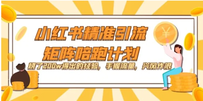 小红书精准引流·矩阵陪跑计划：烧了200w得出的经验，手握流量，兴风作浪！-大磊资源网