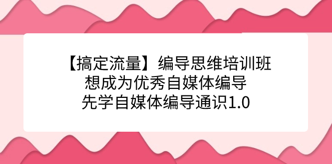 【搞定流量】编导思维培训班，想成为优秀自媒体编导先学自媒体编导通识1.0-大磊资源网