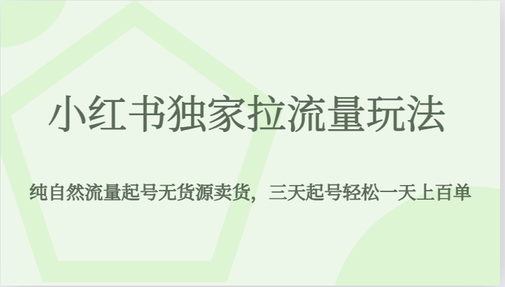 小红书独家拉流量玩法，纯自然流量起号无货源卖货，三天起号轻松一天上百单-大磊资源网