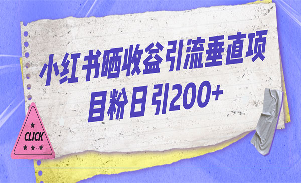 《小红书晒收益图引流》垂直项目粉，日引200+-大磊资源网