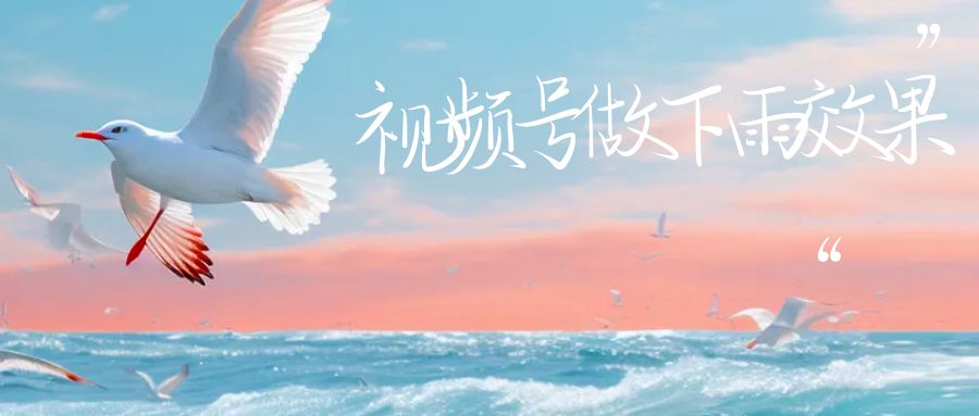 视频号做下雨视频，一个账号一周涨粉10W+，日入1000+附保姆级教程-大磊资源网