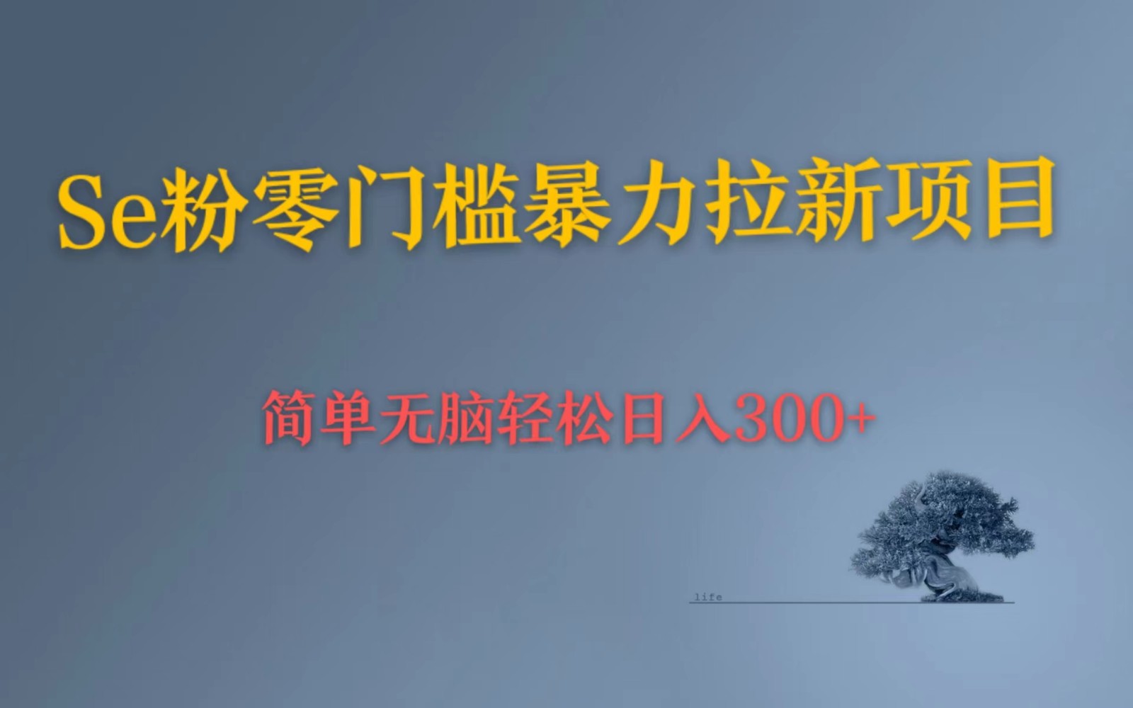 Se粉暴力拉新 小白也可日入300+ 简单无脑上手-大磊资源网