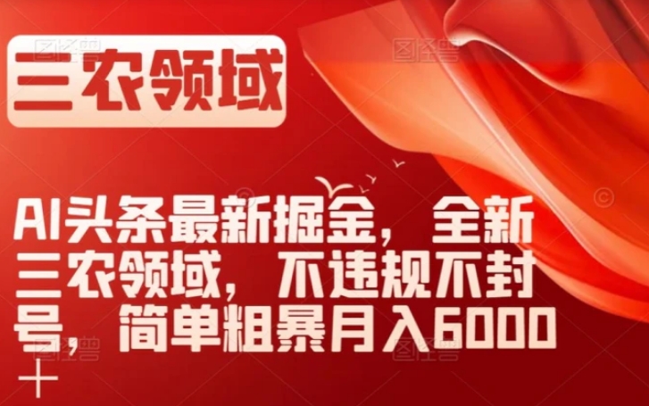 AI头条最新掘金，全新三农领域，不违规不封号，简单粗暴月入6000＋【揭秘】-大磊资源网
