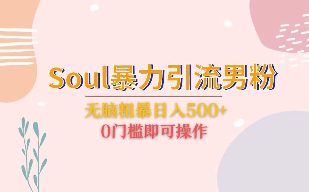 Soul暴力引流男粉玩法，无脑粗暴日入500＋，0门槛即可操作-大磊资源网