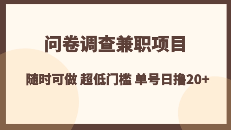 问卷调查兼职项目，随时可做 超低门槛 单号日撸20+-大磊资源网