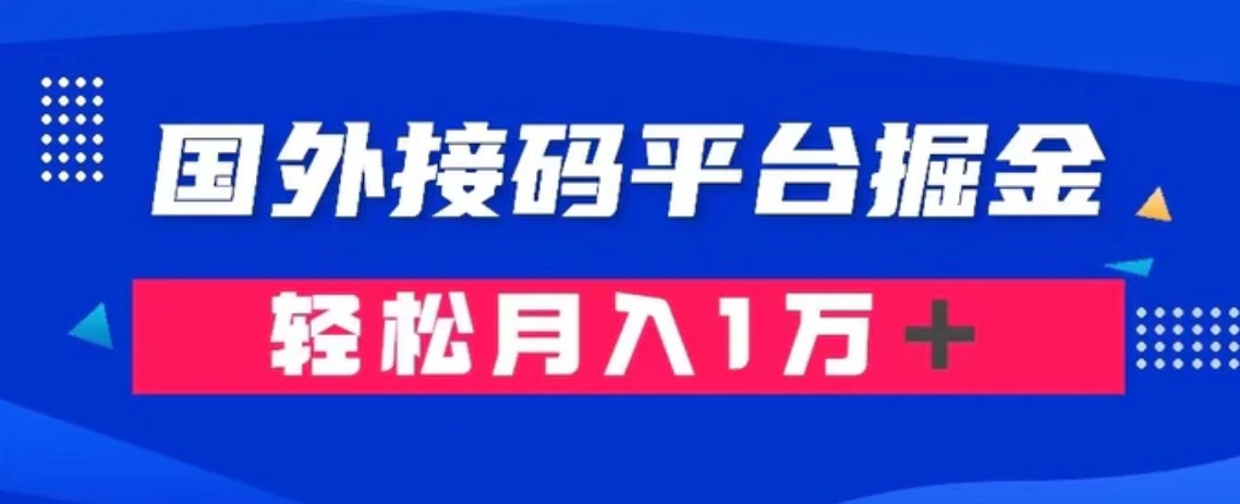 通过国外接码平台掘金： 成本1.3，利润10＋，轻松月入1万＋-大磊资源网