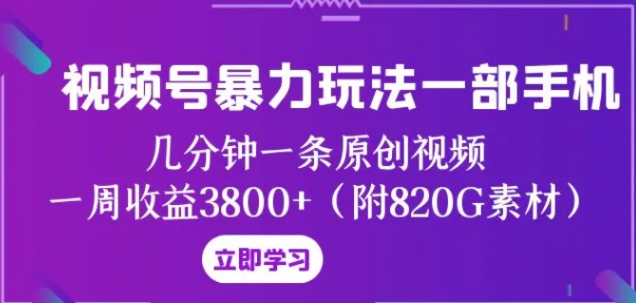 视频号暴力玩法一部手机 几分钟一条原创视频 一周收益3800+-大磊资源网