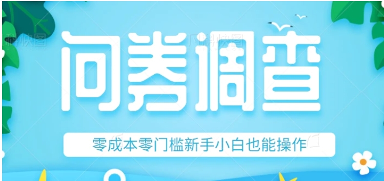 最新问卷调查赚钱项目，零成本零门槛新手小白也能操作，附上亲测技巧！-大磊资源网