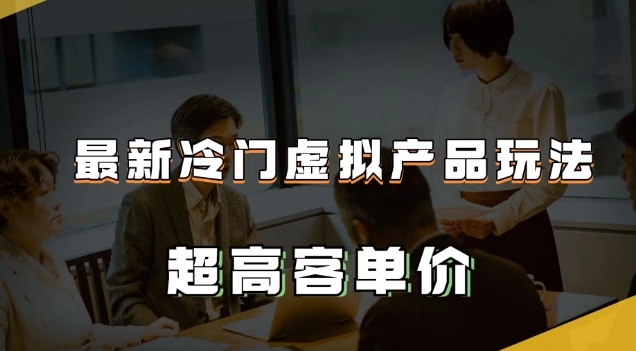 最新冷门虚拟产品玩法，超高客单价，月入2-3万＋【揭秘】-大磊资源网