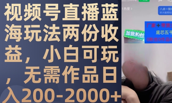 视频号直播蓝海玩法两份收益，小白可玩，无需作品日入200-2000+-大磊资源网