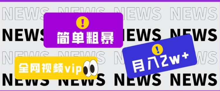 简单粗暴零成本，高回报，全网视频VIP掘金项目，月入2万＋-大磊资源网