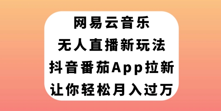网易云音乐无人直播新玩法，抖音番茄APP拉新，让你轻松月入过万-大磊资源网