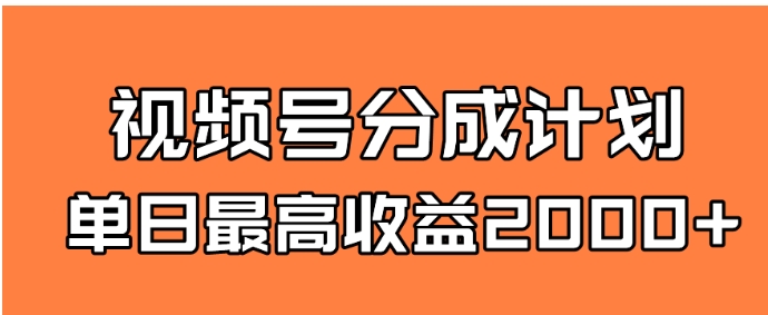 全新蓝海 视频号掘金计划 日入2000+-大磊资源网