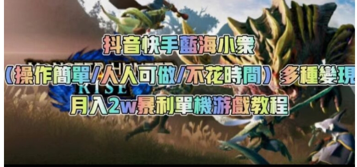 抖音快手蓝海小众多种变现月入2w＋暴利单机游戏教程-大磊资源网