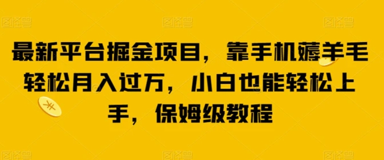 最新平台掘金项目，靠手机薅羊毛轻松月入过万，小白也能轻松上手，保姆级教程【揭秘】-大磊资源网