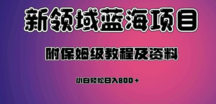 虚拟资源蓝海领域新项目，轻松日入800＋，附保姆级教程及资料-大磊资源网