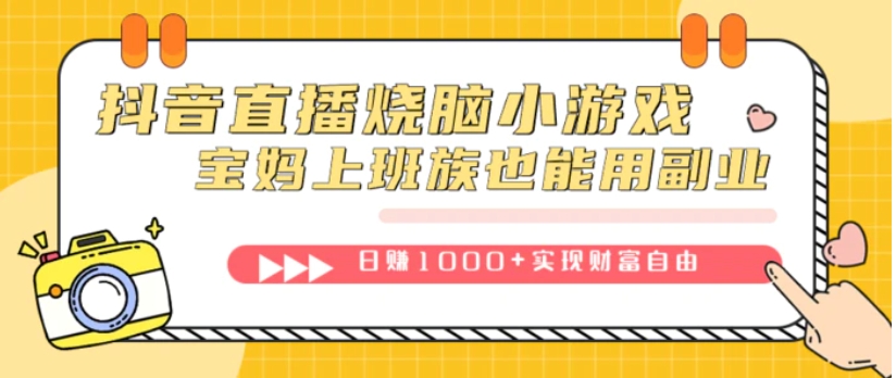 抖音直播烧脑小游戏，不需要找话题聊天，宝妈上班族也能用副业日赚1000+-大磊资源网