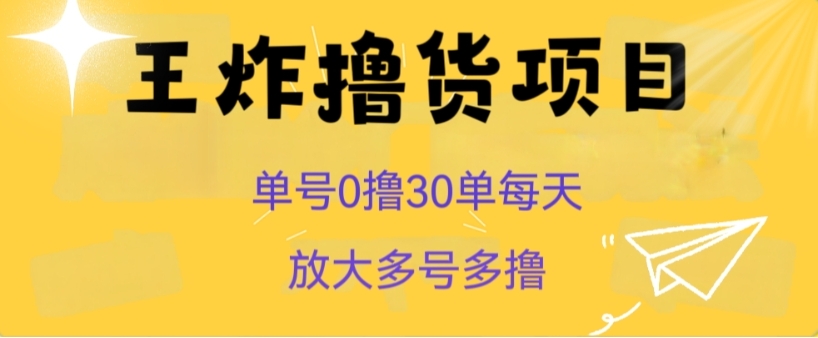 王炸撸货项目，单号0撸30单每天，多号多撸【揭秘】-大磊资源网