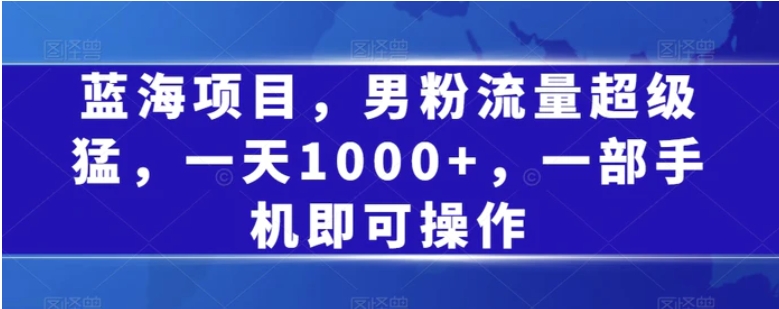 蓝海项目，男粉流量超级猛，一天1000+，一部手机即可操作【揭秘】-大磊资源网