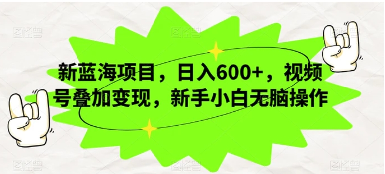 新蓝海项目，日入600+，视频号叠加变现，新手小白无脑操作【揭秘】-大磊资源网