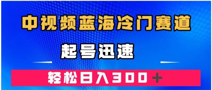 中视频蓝海冷门赛道，韩国视频奇闻解说，起号迅速，日入300＋-大磊资源网