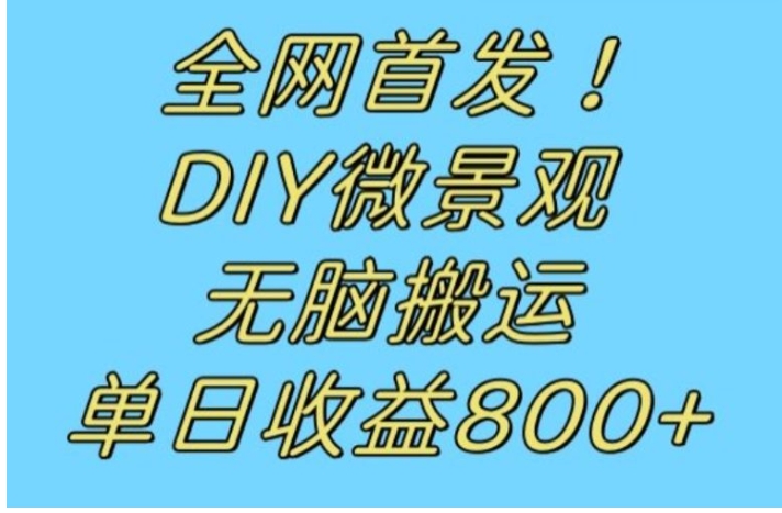 全网首发冷门赛道！DIY微景观，无脑搬运视频，日收益800+【揭秘】-大磊资源网