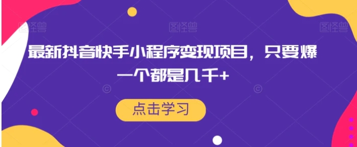 最新抖音快手小程序变现项目，只要爆一个都是几千+-大磊资源网