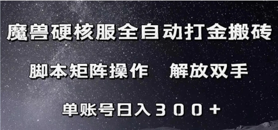 魔兽硬核服自动打金搬砖，脚本矩阵操作，单账号300+-大磊资源网