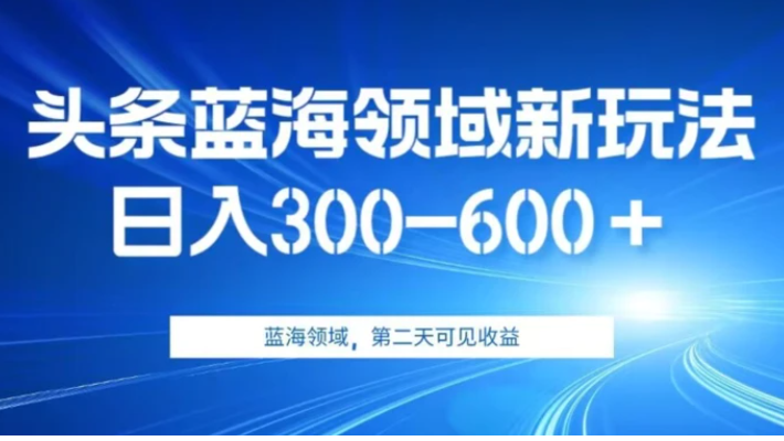 AI头条野路子蓝海领域新玩法2.0，日入300-600＋，附保姆级教程【揭秘】-大磊资源网