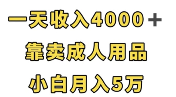 一天收入4000+，靠卖成人用品，小白轻松月入5万【揭秘】-大磊资源网