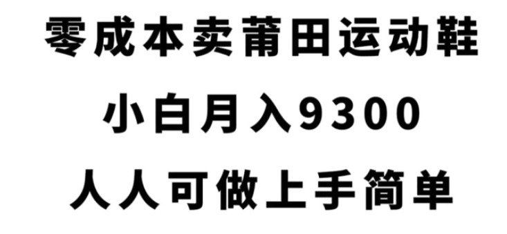 零成本卖莆田运动鞋，小白月入9300，人人可做上手简单【揭秘】-大磊资源网