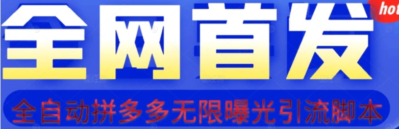 【首发】拆解拼多多如何日引100+精准粉【揭秘】-大磊资源网