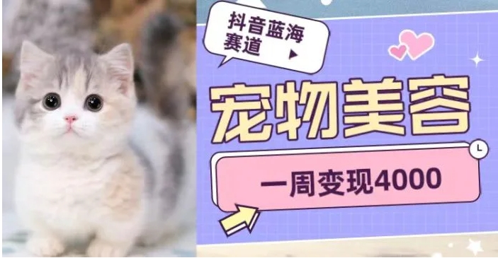 抖音蓝海赛道，宠物美容，一周变现4000-大磊资源网