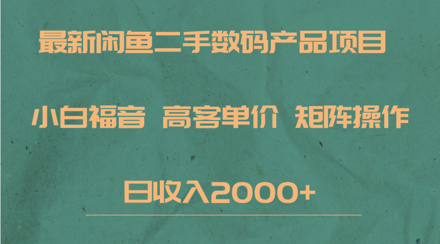 最新闲鱼二手数码赛道，小白福音，高客单价，矩阵操作，日收入2000+-大磊资源网