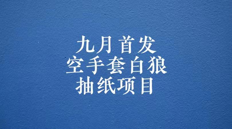 0成本，日入100-500空手套白狼抽纸项目，保姆级教学-大磊资源网