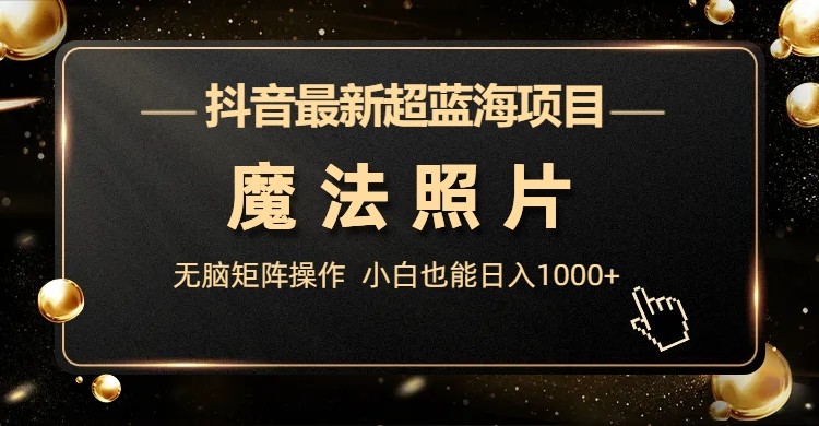 抖音最新超蓝海项目，魔法照片，无脑矩阵操作，小白也能日入1000+-大磊资源网