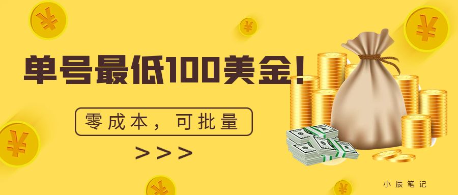 单号最低100美金，零成本，小白无脑操作。可复制，可扩大。-大磊资源网